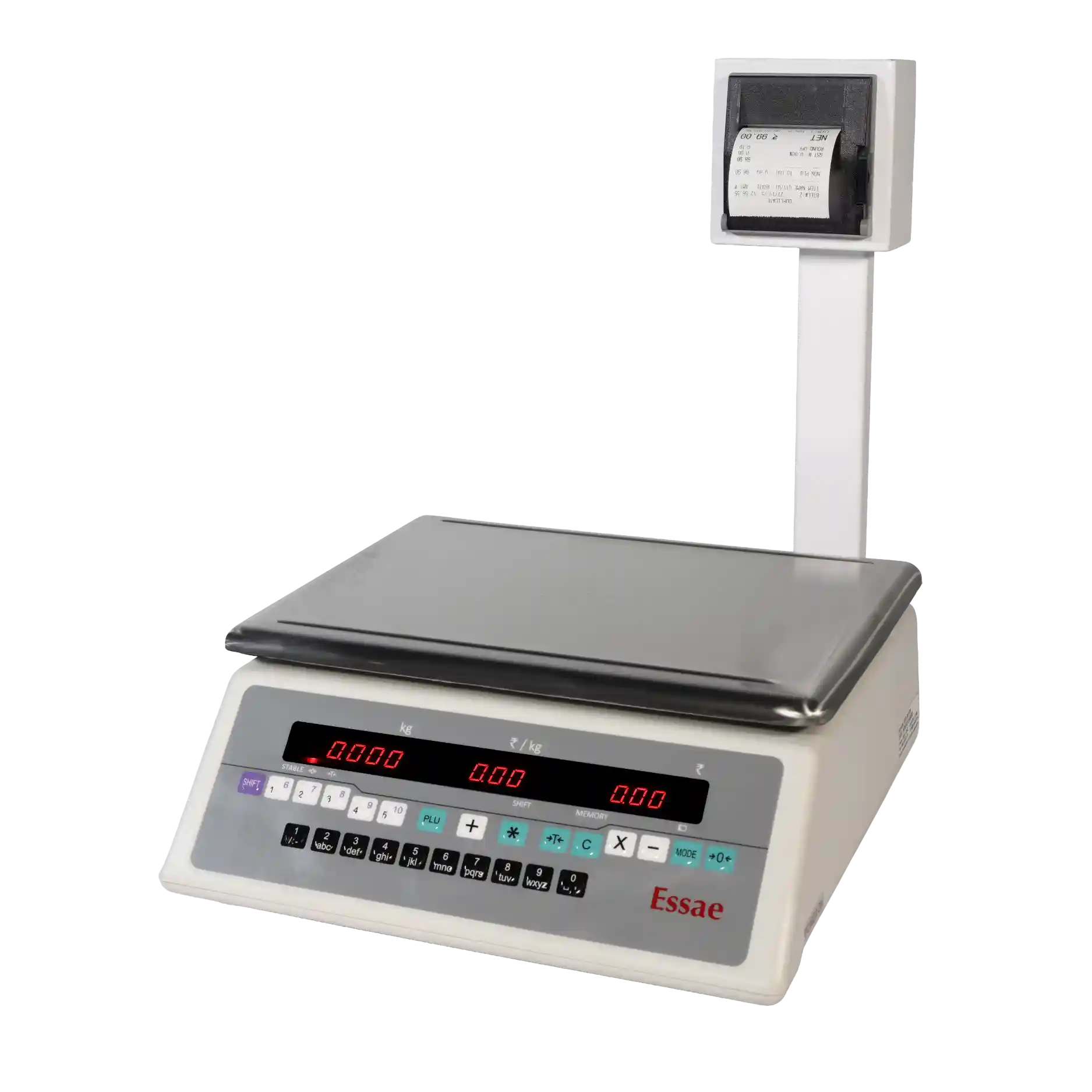 DS-252PR Platform Scale with Printer